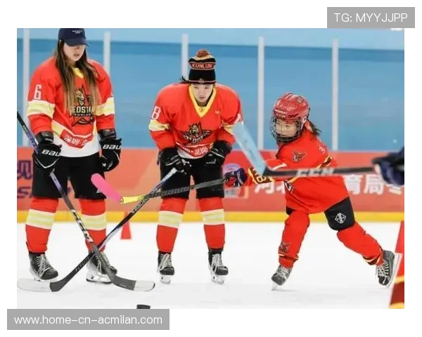 冰球球迷文化热度上升,赛场更具活力 冰球球迷文化热度上升,赛场更具活力