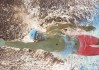 足球U17世少赛：中国小将止步八强收获成长，u17男足世青赛