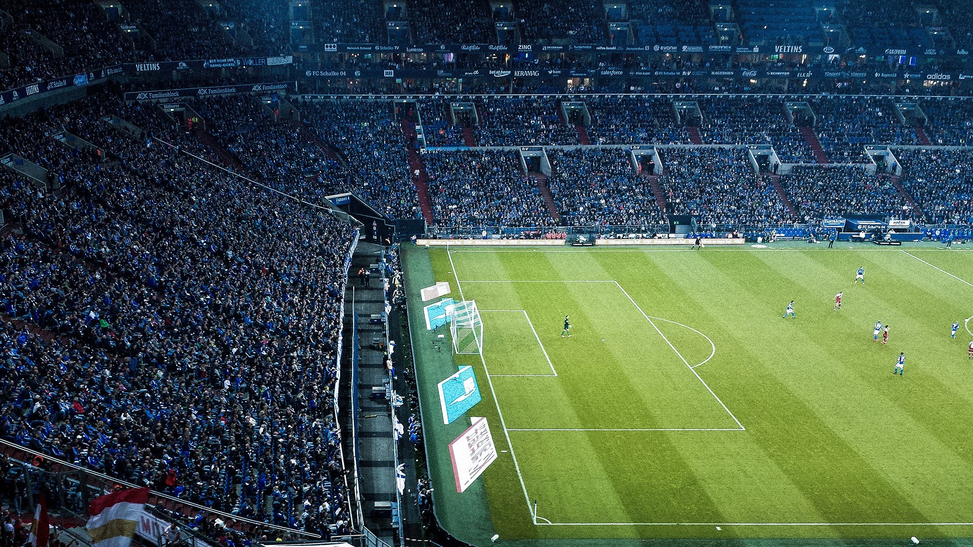 球迷安全疏散演练成功，场馆应急能力获好评，球馆运动安全须知